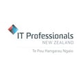 IT professionals NZ