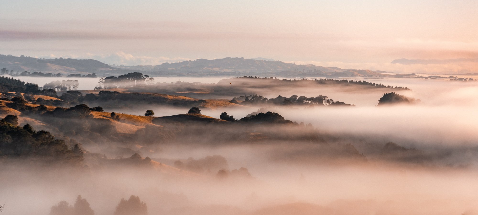 Fog in New Zealand - Cloud for ISVs