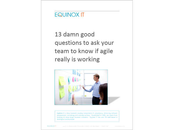 Ebook: 13 damn good questions to ask your team to know if agile really is working